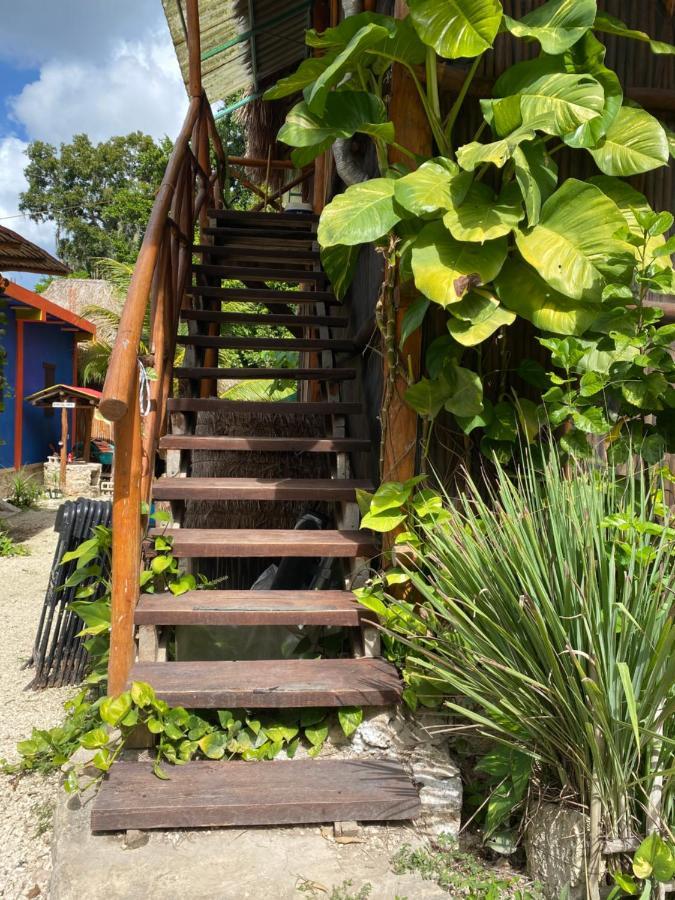 Malinche Cafe In Coba Tulum 아파트 외부 사진
