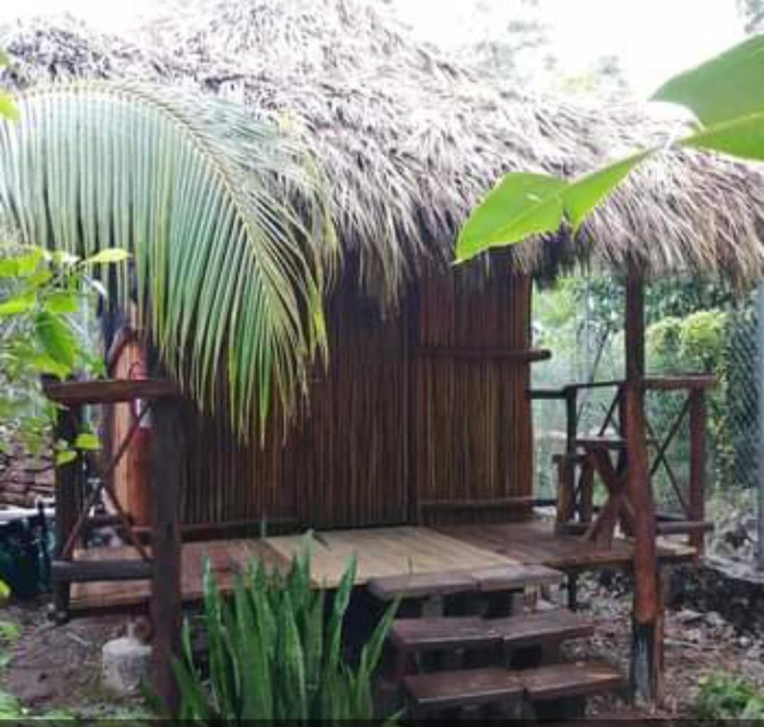Malinche Cafe In Coba Tulum 아파트 객실 사진